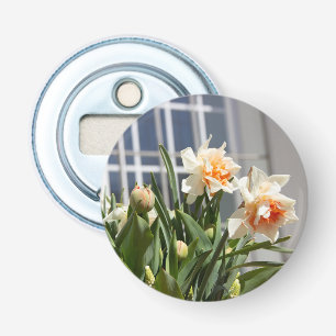 Delicate cute daffodils spring   bottle opener