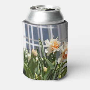 Delicate cute daffodils spring can cooler