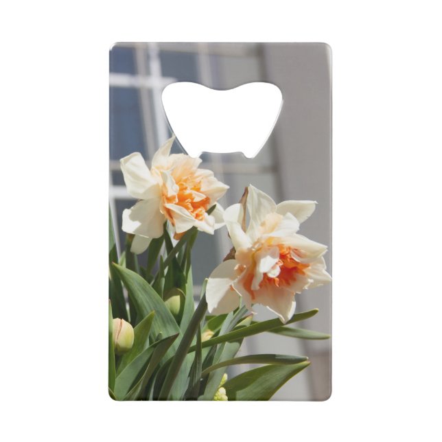 Delicate cute daffodils spring   credit card bottle opener (Front)