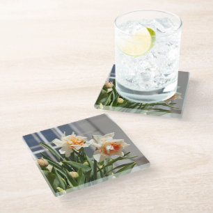 Delicate cute daffodils spring glass coaster