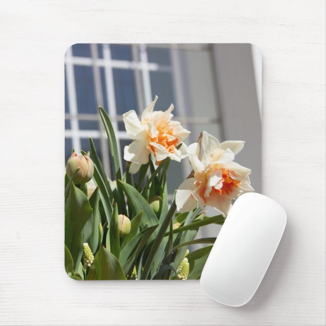 Delicate cute daffodils spring     mouse pad (With Mouse)