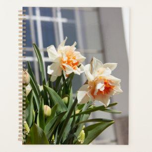 Delicate cute daffodils spring planner