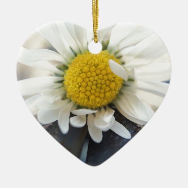 Delicate daisy ceramic ornament (Front)