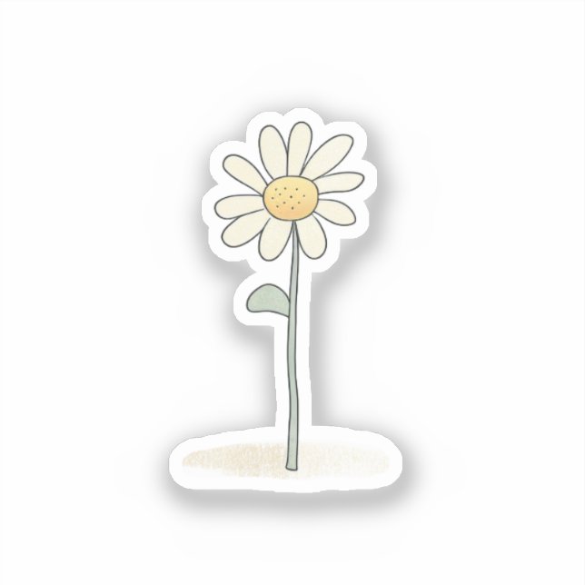 Delicate Daisy Illustration - Simple Sweet Flower (Front)