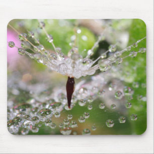 Delicate Dandelion Abstract Mouse Pad