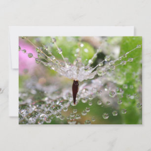 Delicate Dandelion Abstract Thank You Card