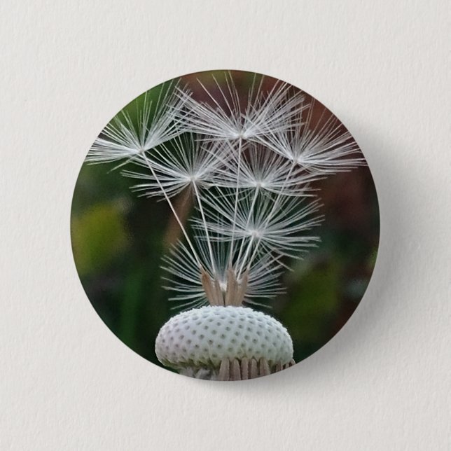 Delicate Dandelion Seeds  2 Inch Round Button (Front)