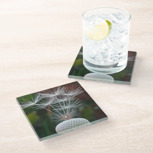 Delicate Dandelion Seeds  Glass Coaster (Angled)