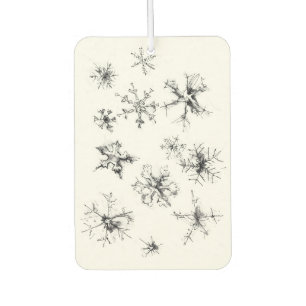 Delicate Falling Snowflakes Air Freshener