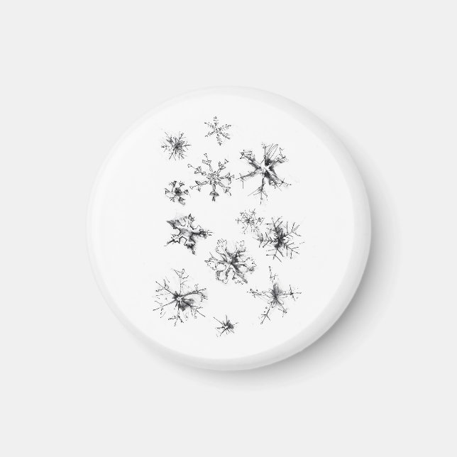 Delicate Falling Snowflakes Magnet (Front)