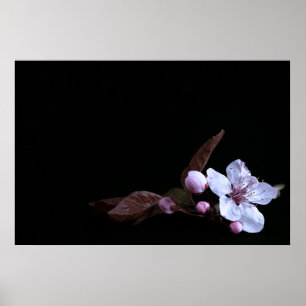 Delicate Flower Poster