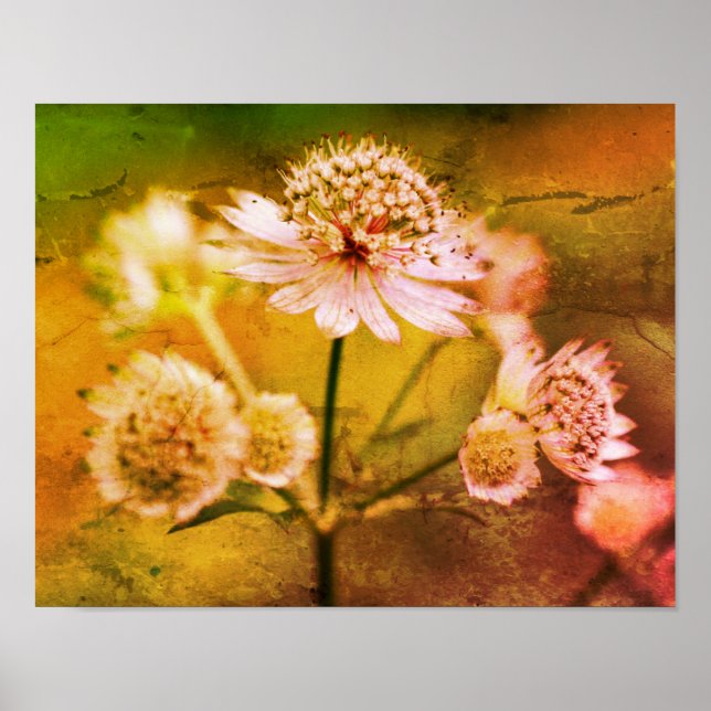 Delicate Flowers Abstract Distressed Art Poster (Front)