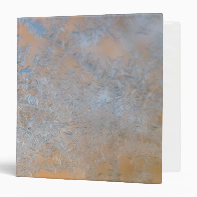 Delicate frost pattern, Wisconsin Binder (Front/Inside)