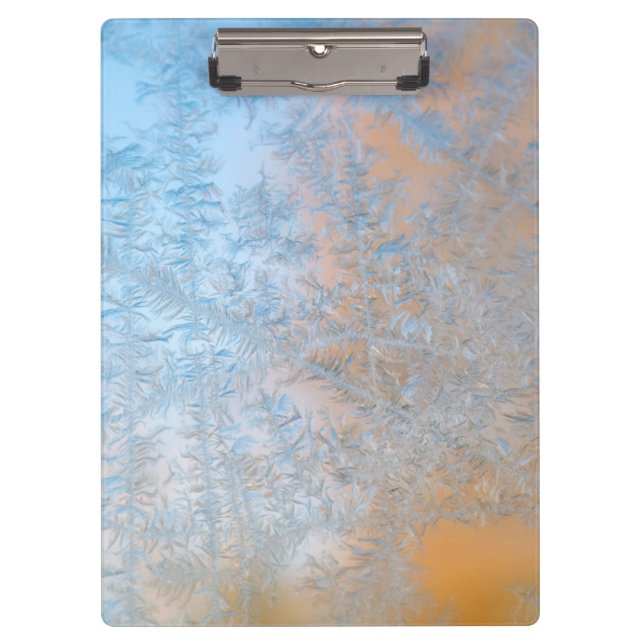 Delicate frost pattern, Wisconsin Clipboard (Front)