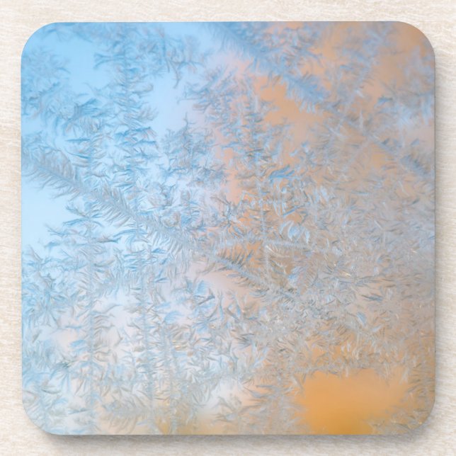 Delicate frost pattern, Wisconsin Coaster (Front)