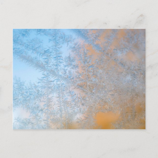 Delicate frost pattern, Wisconsin Postcard (Front)