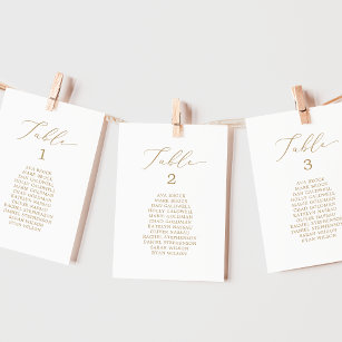 Delicate Gold Table Number Seating Chart Cards