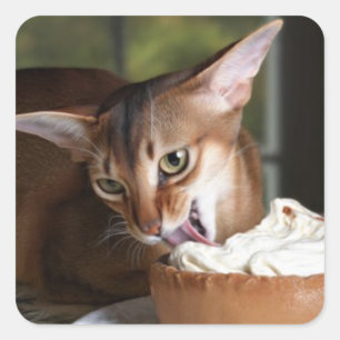 Delicate Indulgence Cat Sticker