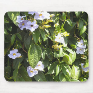 Delicate Morning Glories Mouse Pad