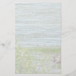 Delicate Movement Stationery