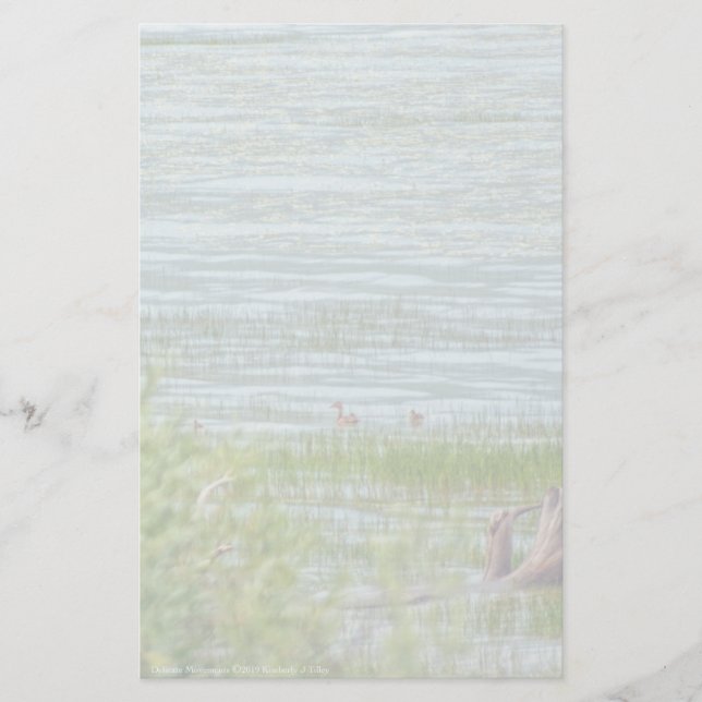 Delicate Movement Stationery (Front)