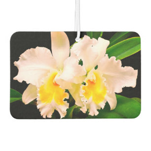 Delicate Orchids Air Freshener
