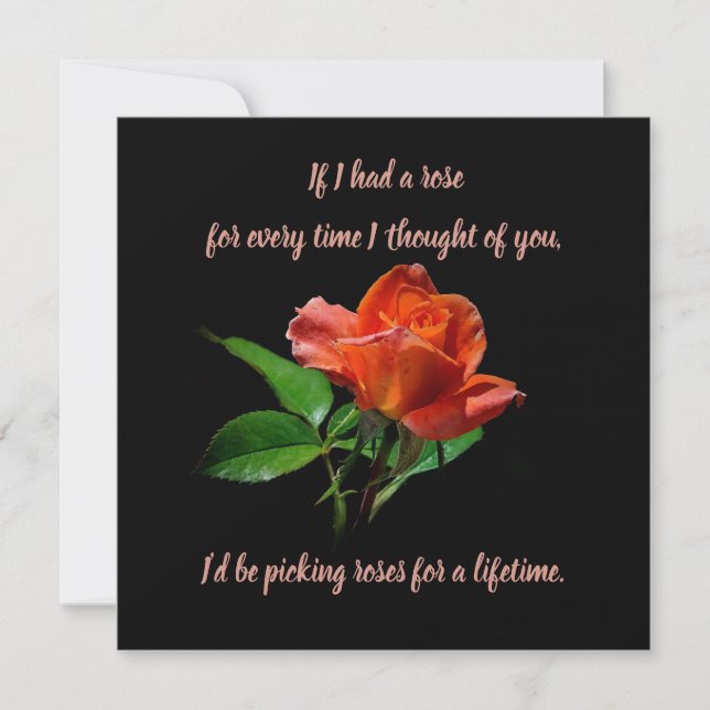 Delicate Peach Rose On Black Card (Front)