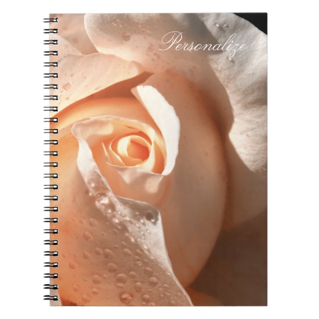 Delicate Peach Rose With Dew Notebook (Front)