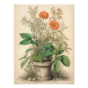 Delicate Petunias in Terracotta Pot Photo Print