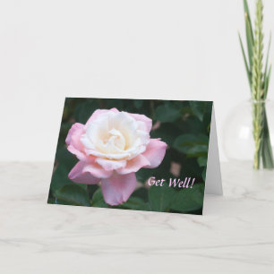 Delicate Pink and White Rose Get Well Card
