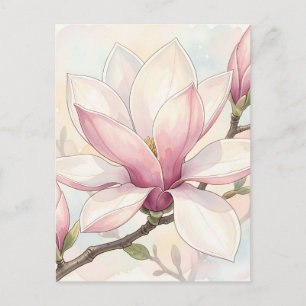 Delicate Pink Magnolia Watercolor Bloom Postcard