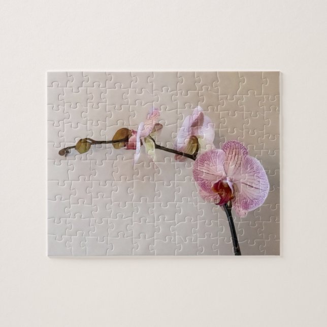 Delicate Pink Phalaenopsis Orchids Jigsaw Puzzle (Horizontal)