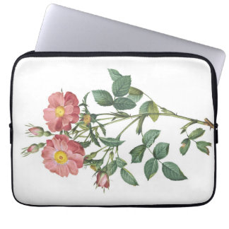 Delicate Pink Rose Botanical Illustration Laptop Sleeve