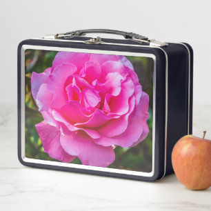 Delicate pink rose. metal lunch box