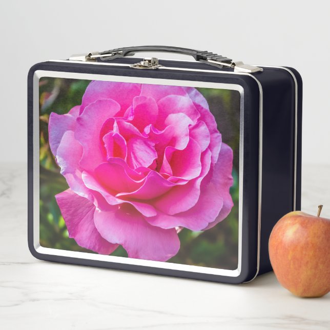 Delicate pink rose. metal lunch box (In Situ)
