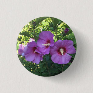 Delicate Pink Rose of Sharon/Hibiscus Flower Photo 1 Inch Round Button