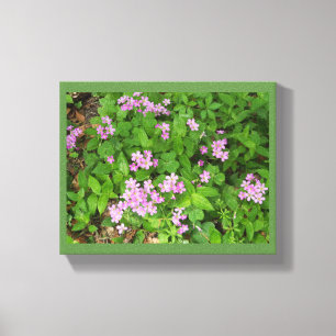 Delicate pink Spring wildflowers Canvas Print