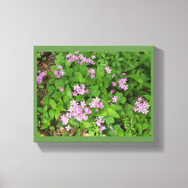 Delicate pink Spring wildflowers Canvas Print (Front)