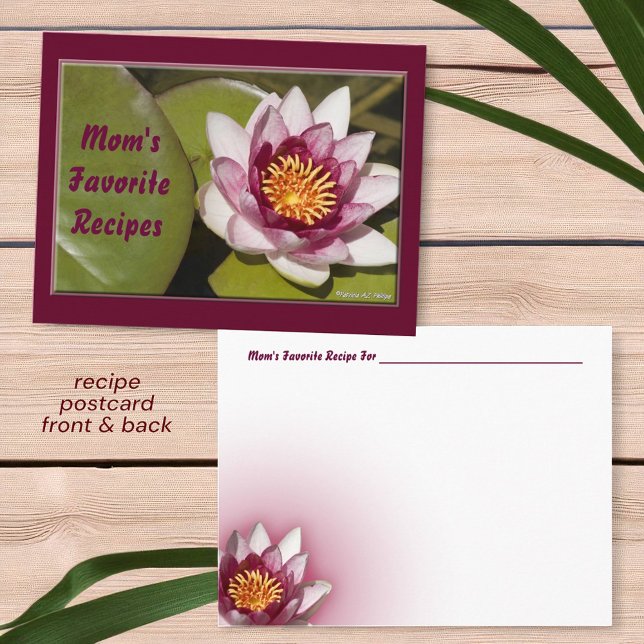 Delicate Pink Water Lily Flower Photo Recipe Postcard (front and back postcard recipe card )
