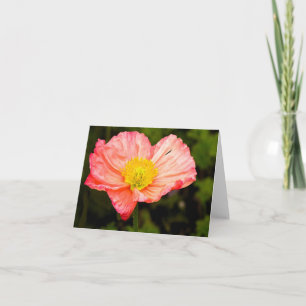 Delicate Poppy -Blank Note Cards