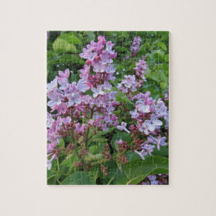 Delicate purple flowers of a lilac bush jigsaw puzzle