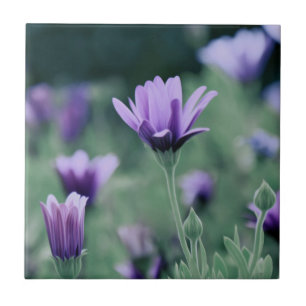 Delicate Purple Lavender Flowers Tile