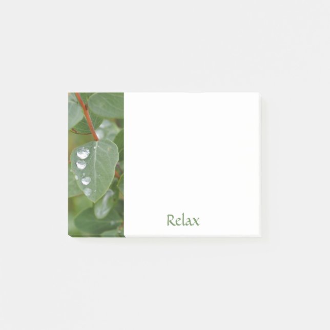 Delicate Raindrops Notes (Front)