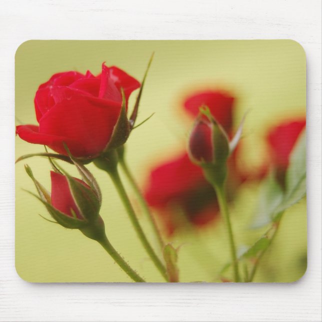 Delicate Red Rose Mouse Pad (Front)