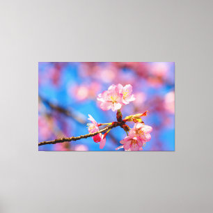 Delicate Sakura Beauty Against The Blue Sky Canvas Print