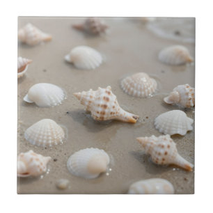 Delicate Seashells Beach Serenity Tile