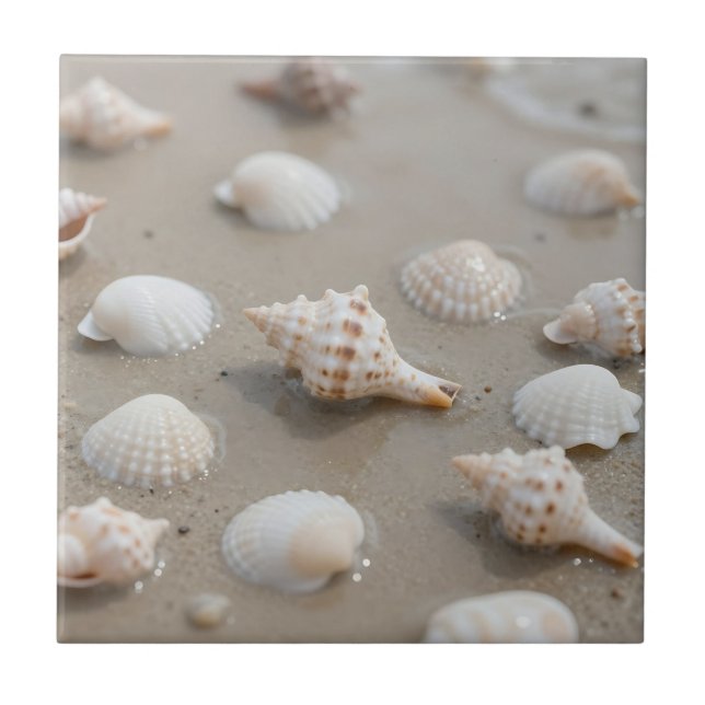 Delicate Seashells Beach Serenity Tile (Front)