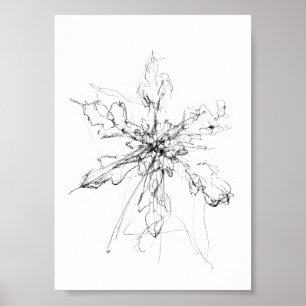 Delicate Single Snowflake  Poster