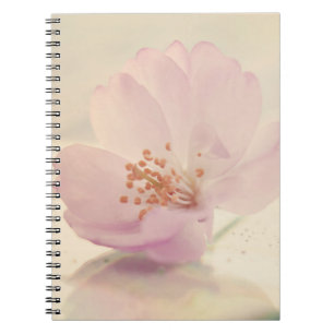 Delicate Soft Pink Cherry Blossom Flower Notebook