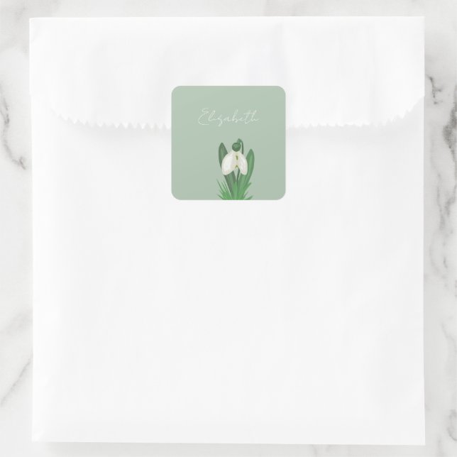 Delicate Spring Snowdrop Flower  Square Sticker (Bag)